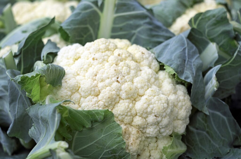 Image of a head of cauliflower.