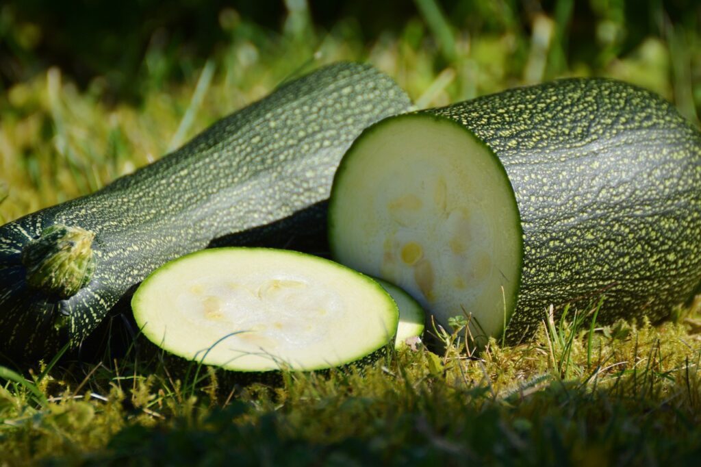 Image of sliced zucchini.