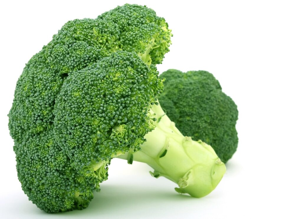 Image of a piece of broccoli.