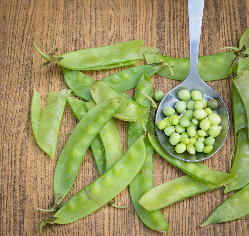 Image of snapped snow peas.